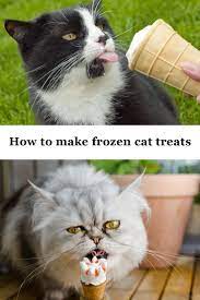 How To Make Frozen Cat Treats Cat Treats Cat Treats Homemade Cats