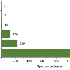 Image result for Stemodiopsis buchananii
