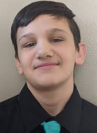 Macomb County Division 2-3-4 wrestling all-stars