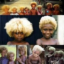 Melanesian people of the Solomon Islands are genetically coded to have  naturally blond hair and cocoa colored skin!