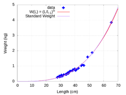 Channel Catfish Wikipedia