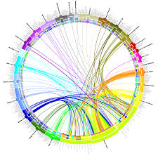 Radial Table Designing Interfaces