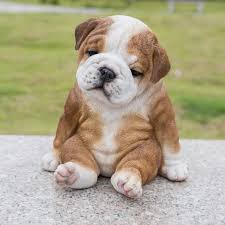 Bulldog heating & cooling offers 24/7 service to homeowners right across canada. Hi Line Gift Ltd Sitting Sleepy Bulldog Puppy Statue Walmart Com Walmart Com