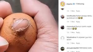 Brp minimum order utk delivery jakarta. Viral Video Telur Menetas Di Genggaman Tapi Endingnya Buat Warganet Geram
