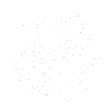 Https Encrypted Tbn0 Gstatic Com Images Q Tbn 3aand9gcrtakjezqeai7nsrrdhcmrbxegtevpfwen06q Usqp Cau