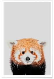 We did not find results for: Red Panda Ii Poster Juniqe