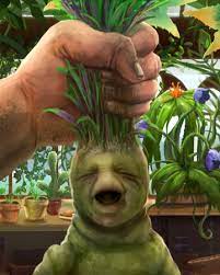 Mandrake Harry Potter Wiki Fandom Powered By Wikia Mandrake Magical World Of Harry Potter Harry Potter Wiki