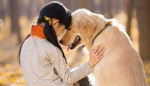 We did not find results for: Terkait Alam Bawah Sadar Ini Arti Mimpi Bertemu Anjing Gaya Tempo Co