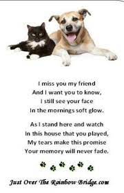 There is a bridge connecting heaven and earth. Pet Loss Poems Celebrating The Love And Lives Of Our Dogs Miss My Dog Dog Poems Losing A Pet