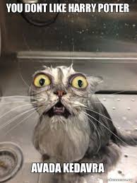 You Dont Like Harry Potter Avada Kedavra Cat Bath Make A Meme Ask anything you want to learn about avada kedavra. harry potter avada kedavra cat bath