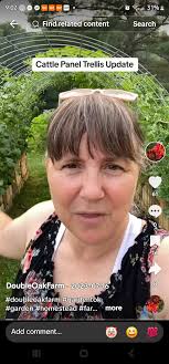 These constructions are from willow grown locally and completely replace  all and any plastic imports of garden paraphernalia, including furniture.