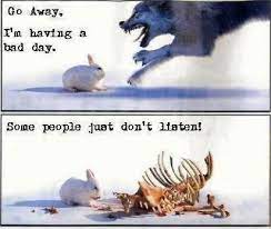 Sorry Youre Having A Bad Day Quotes Quotesgram