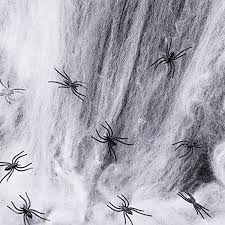 The sort of accumulated cobwebbing you. Boao Halloween Stretch Spider Webs Spooky Spider Webbing With 30 Fake Spiders For Halloween Decorations Indoor And Outdoor Walmart Canada