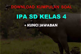 Contoh soal hots mapel ipa kelas 4 format pdf  link download demikian kiranya semoga dengan kami bagikan materi soal hots muatan pelajaran ipa kelas 4 sd ini dapat dipergunakan sebagai bahan acuan dalam menyusun sebuah soal. 30 Soal Pilihan Ganda Ipa Kelas 4 Sd Jawaban K13 Muttaqin Id