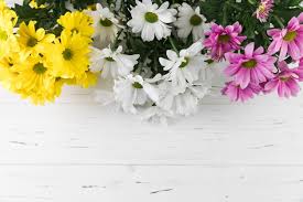 Compare prices & save money on flowers & plants. Free Photo Bouquet Of Yellow White And Pink Daisy Flowers On White Wooden Textured Background