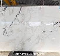 Fendi White Oyster Marble Slabs | White - Marble Slabs
