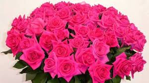 Картинки по запросу поздравление с днем рождения галочка