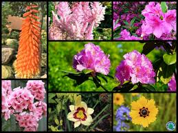 Maybe you would like to learn more about one of these? Plant Combinations For Central Indiana Area Eagleson Landscape Co