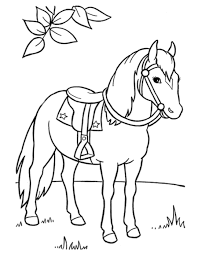 Paard In De Natuur Kleurplaat Klaarwerk Nl Kleurplaten Paard Knutselen Paard Tekeningen