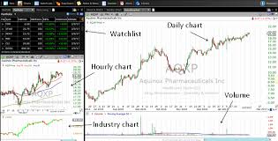 the best stock chart provider for swing trading