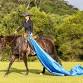 BRAVE HORSE WORKSHOP — DEMO SITE event image