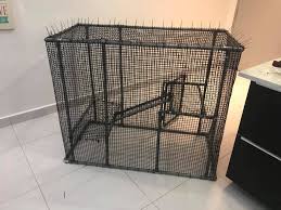 1) lokasi reban didik yg sesuai 2) suhu yg baik 3). Diy Sangkar Kucing Guna Pvc Murah Confirm Tak Karat Vanilla Kismis