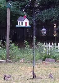 Bird Feeder Protection From Squirrels Add A Slinky To Protect Your Bird Feeder From Squirrels Squirrel Proof Bird Feeders Hanging Bird Feeders Bird Feeder Plans