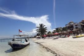 Environmental groups celebrate cancellation of Royal Caribbean’s ‘Perfect Day Mexico’