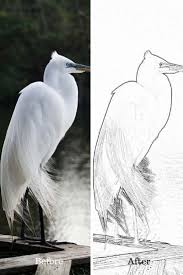 When we think of october holidays, most of us think of halloween. Turn Memories Into Your Own Coloring Pages My Life Abundant