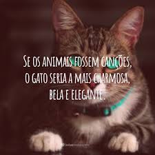 A lo largo de la historia del cristianismo han surgido un sinfín de santos que hoy en día se siguen celebrando. 60 Frases Sobre Gatos Para Demonstrar Afeto Pelos Felinos Fofas