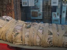 Explore stephu143's photos on flickr. Cleopatra S Mummy Photo