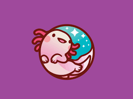 In cute chibi animals, popular instagram artist phoebe im (@bobblejot) teaches you the art of chibi, step by adorable step. Axolotl Axolotl Cute Cute Cartoon Drawings Cute Drawings