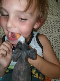 ISO- Skinny pig (hairless guinea pig). My son's skinny pig passed away  overnight and he's just devastated about it. He really wants another skinny  pig. I figured I would check here before