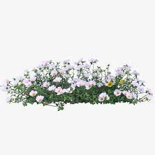 Greenery Garden Flowers Png Transparent Clipart Image And Psd File For Free Download Photoshop Landscape Landscape Architecture Graphics Flowers