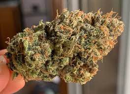 Mexican used the name for weed at most and is considered to have perfect quality. I M Officially A Potent Planet Fanboy This Is Colombian Gold Shout Out To The Namesake Zonaents