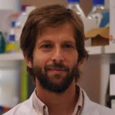 The Mercies in Disguise Research Grant, in Honor of the Baxley Family