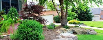 I creative design i home decor ideas. Tree Japanese Maple Rock Border All Good Rock Border Japanese Maple Landscape