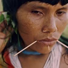 Danielle Camargo camargo