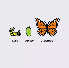 Dale Tiempo Al Tiempo Butterfly Quotes Butterfly Wallpaper Iphone Instagram