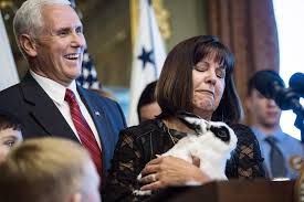 Vice president mike pence and sen. Mike Pence S Gay Rabbit Is The Newest Kid Lit Sensation Gq