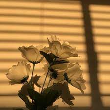 Заборона тривала лише десять днів. Ktiktok Hashtag On Twitter