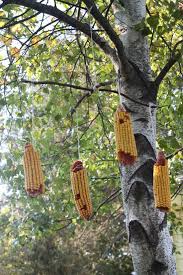 Maybe you would like to learn more about one of these? Build A Squirrel Feeder For Fall Fun Squirrel Feeder Squirrel Feeder Diy Squirrel Feeders
