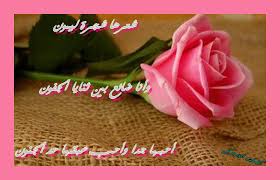 اجمل صور باقات ورد مكتوب عليها كلام جميل 2019 صور ورد رومانسية جدا مكتوب عليها كلام حب وأشعار غاية فى الرقة والجمال خلفيات ورد مكتوب عليها اروع وارق الجمل. ØµÙˆØ± ÙˆØ±ÙˆØ¯ Ù…ÙƒØªÙˆØ¨ Ø¹Ø¨Ø§Ø±Ø§Øª Ø§Ø­Ù„Ù‰ ÙˆØ±Ø¯Ø© Ù„Ùƒ Ø¨ÙŠÙˆØªÙŠ