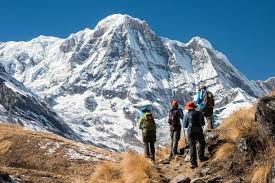 Alors que la mortalité a tendance à baisser sur tous. Top 10 Les Montagnes Les Plus Hautes Du Monde