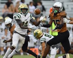 Photos: High school football, Nease vs. Atlantic Coast