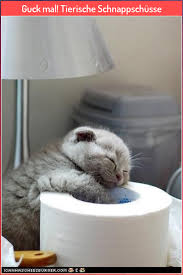 Guck Mal Tierische Schnappschusse Guck Mal Schnappschusse Tierische