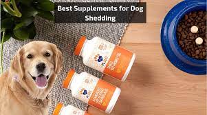 Clinical studies have shown that, biotin vitamin supplements have been able to remedy common problems like dull coat, hair loss and dermatitis in dogs. Best Supplements For Dog Shedding Stop Excessive Shedding Now