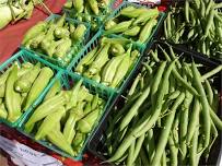 Alachua County Farmers Market