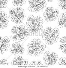 Download all pbr maps and use them even for commercial projects. Hibiscus Flower Print Vector Photo Free Trial Bigstock
