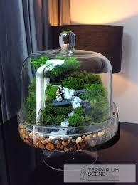 Terrarium Scene Minyatur Bahceler Terrarium Cicek